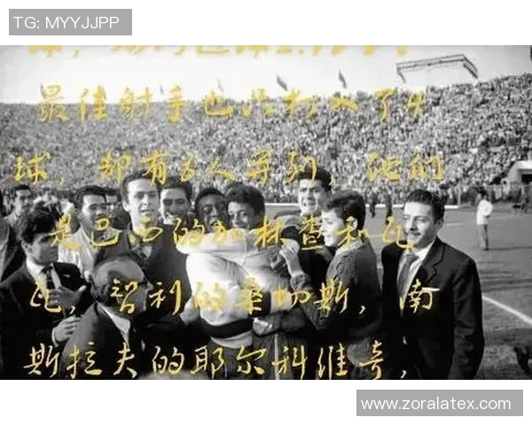 成都排球队在世界杯预选赛中的蜕变与成长之路探索