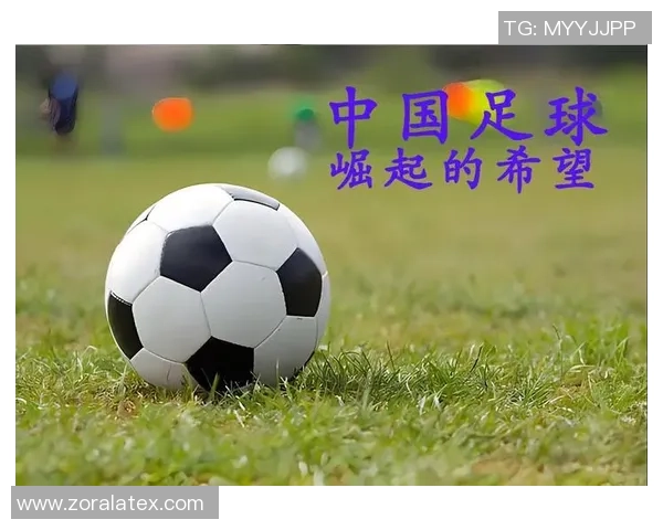 新式足球流派的崛起与发展对现代足球战术的影响与启示