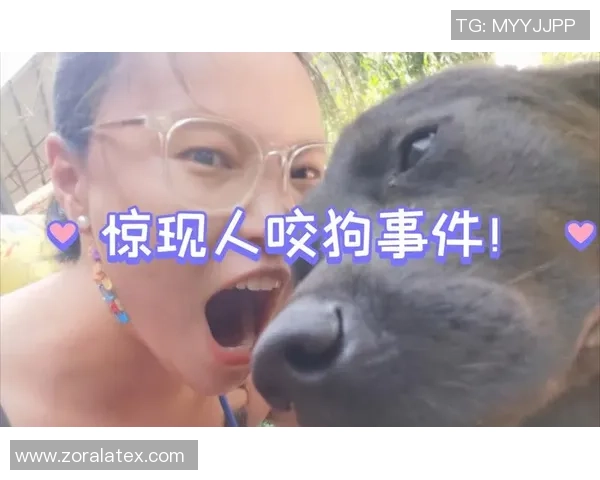 足球场上的意外事件狗咬人事件引发的热议与反思