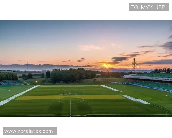 葵园足球带你领略激情与梦想的绿茵场，开启属于你的足球之旅