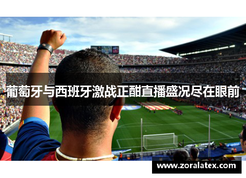葡萄牙与西班牙激战正酣直播盛况尽在眼前