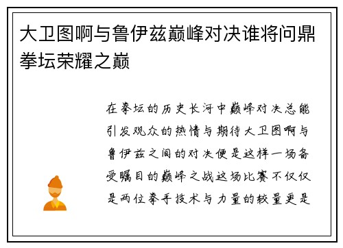 大卫图啊与鲁伊兹巅峰对决谁将问鼎拳坛荣耀之巅